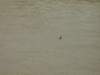 icegd2007383_small.jpg